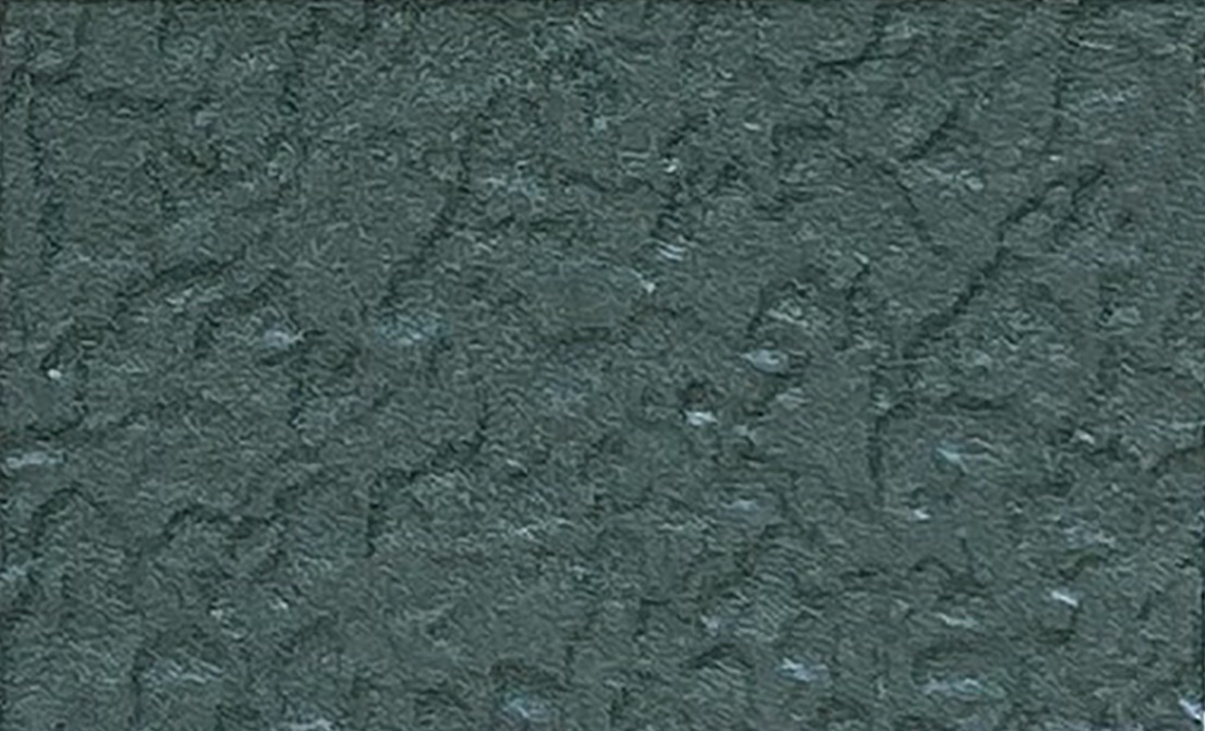  F1420 Escarabajo
